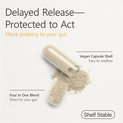 Probiotics with Prebiotics for Men and Women - 35 Strains Organic Probiotics 100 Billion CFU for Gut & Digestive Health, Vegan Acidophilus Probiotic Supplement, Non-GMO Raw Probiotic 60 Capsules